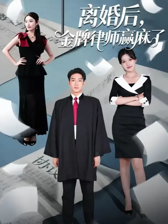 离婚后金牌律师赢麻了 海报