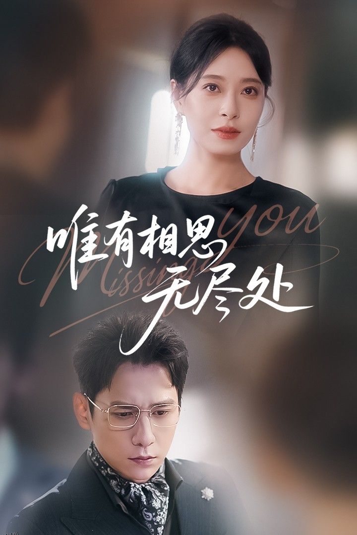 唯有相思无尽处 海报