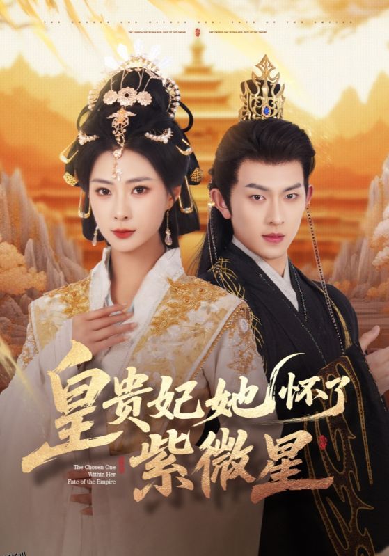 皇贵妃她怀了紫薇星 海报