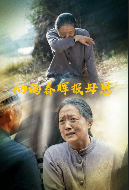 细雨春晖报母恩 海报