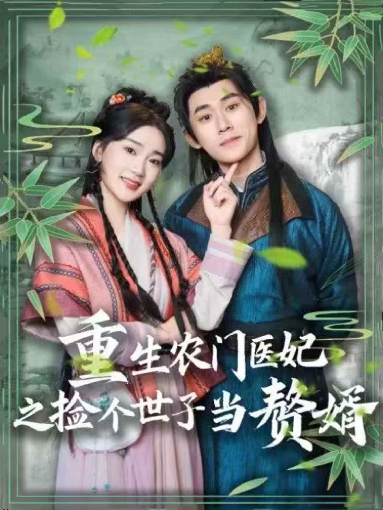 重生农门医妃之捡个世子当赘婿 海报