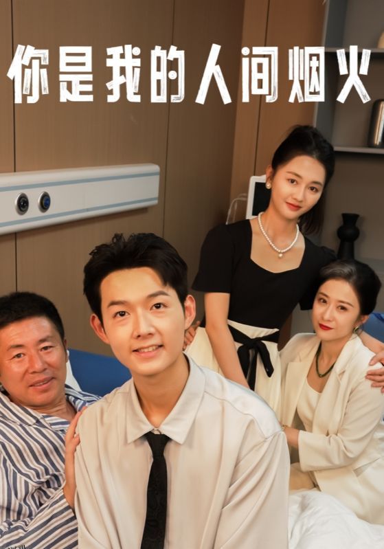 你是我的人间烟火 海报