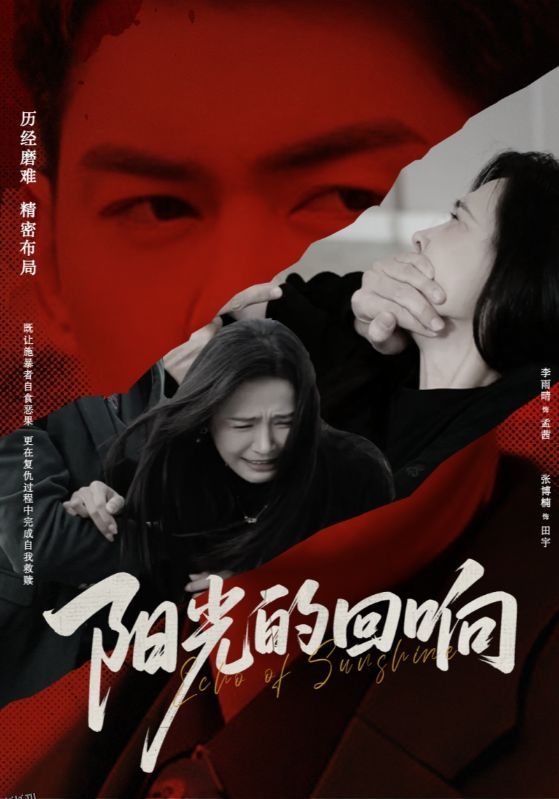 阳光的回响 海报