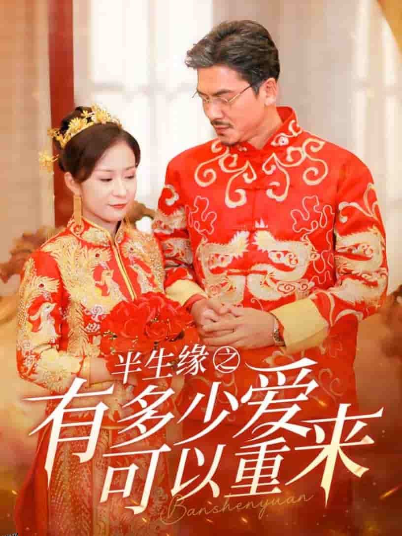 半生缘之有多少爱可以重来 海报