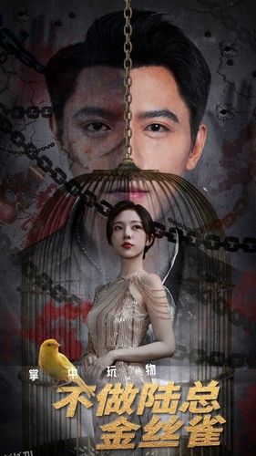 掌中玩物不做陆总金丝雀 海报