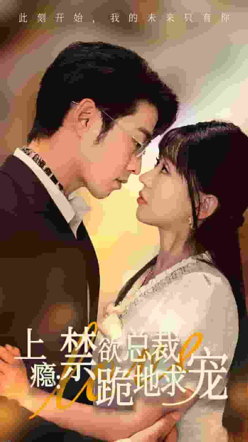 上瘾：禁欲总裁跪地求宠 海报