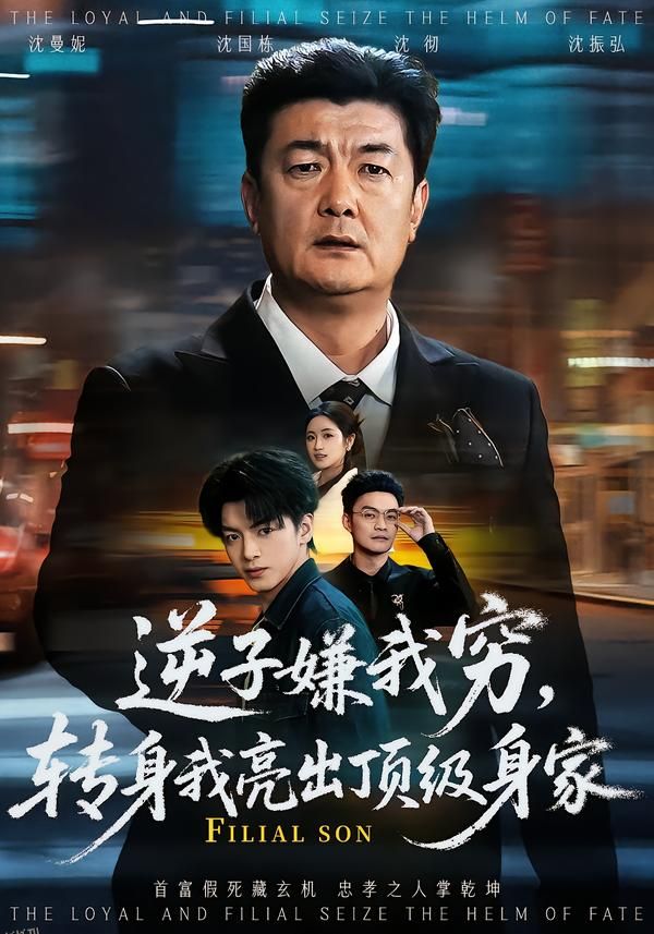 逆子嫌我穷，转身我亮出顶级身家 海报