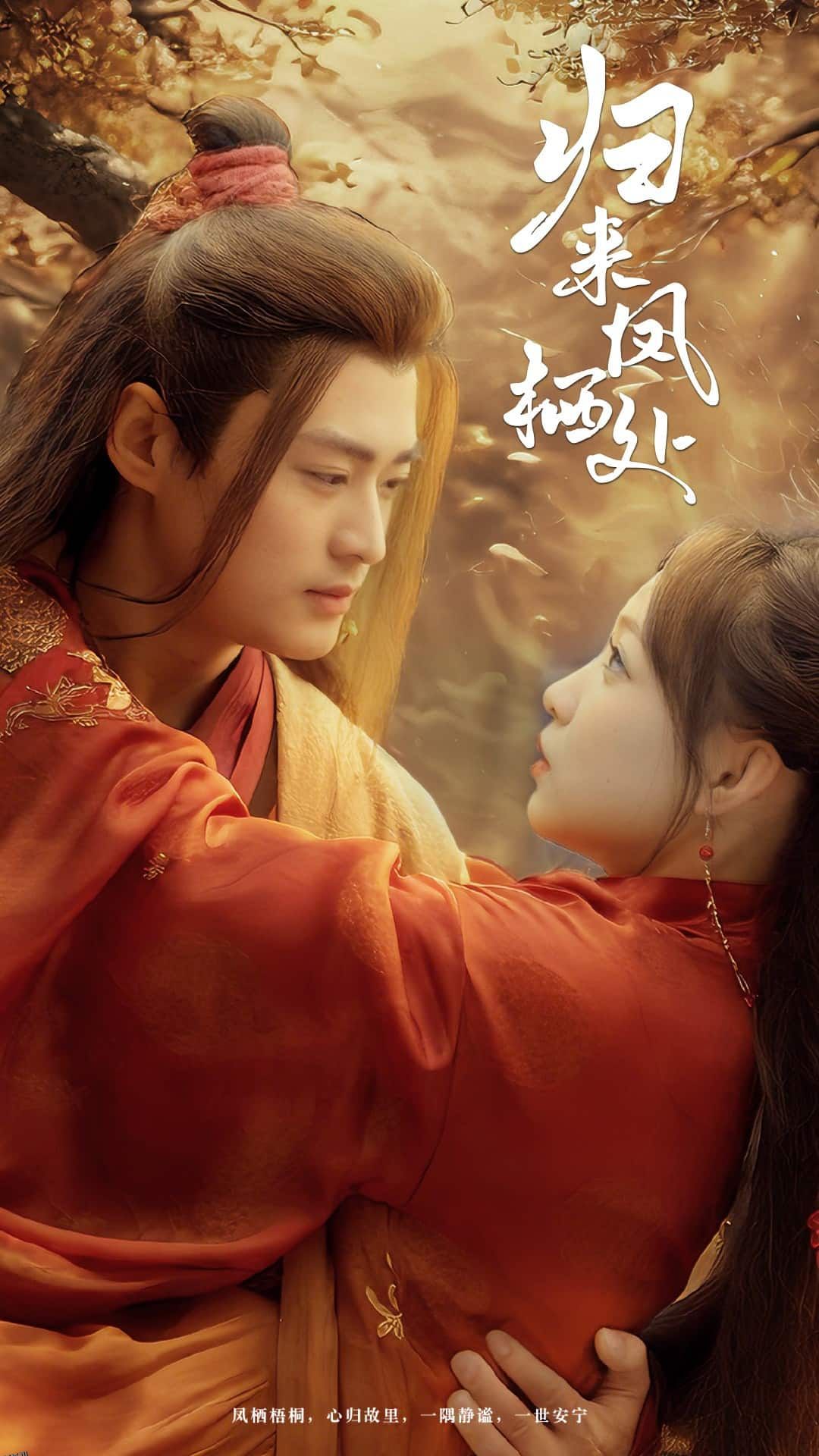 归来凤栖处 海报