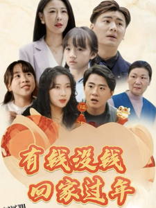 有钱没钱回家过年 海报