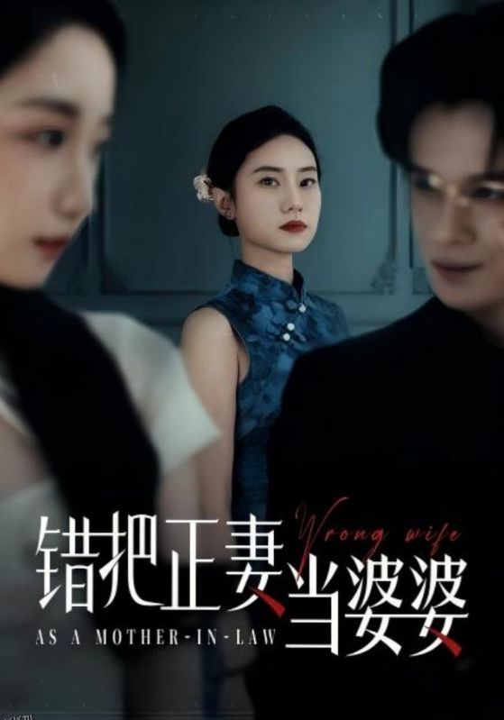 错把正妻当婆婆 海报
