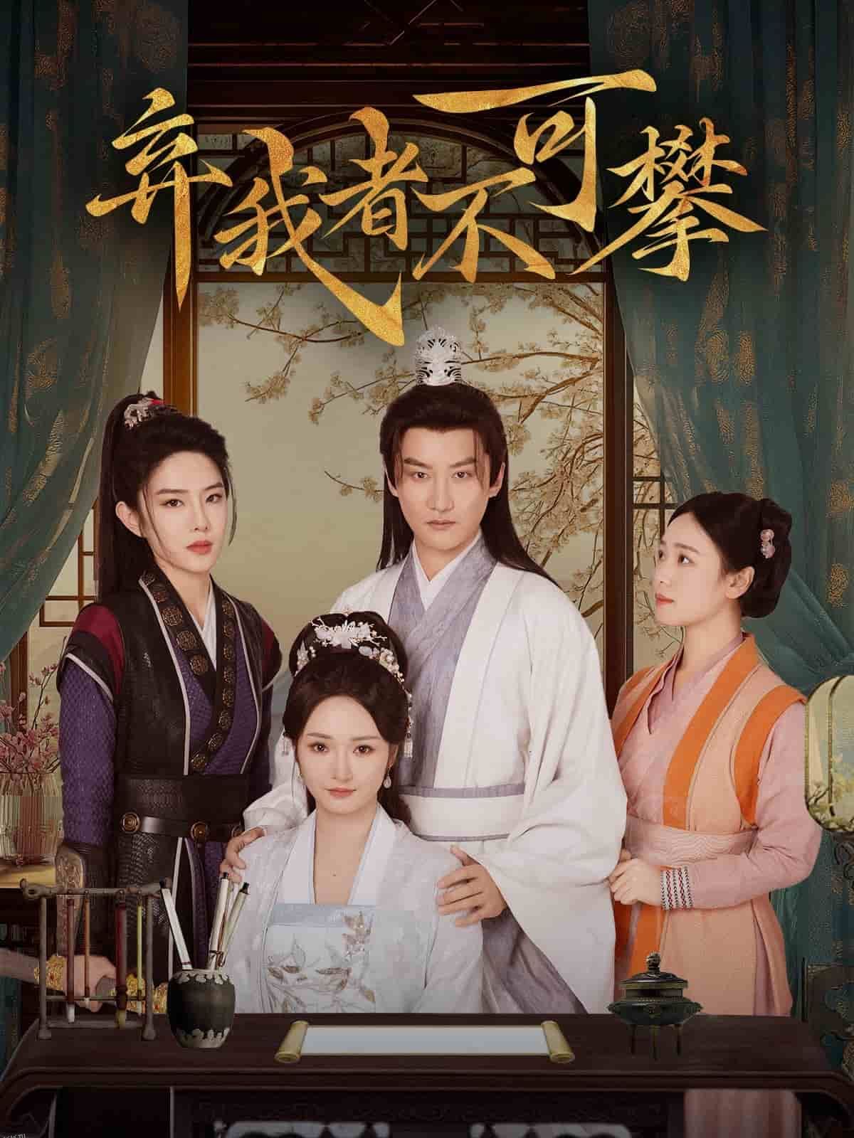 弃我者不可攀 海报