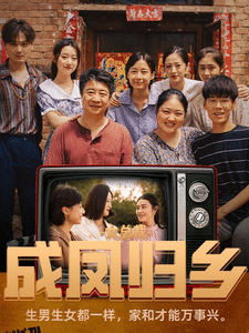 女总裁成凤归乡 海报