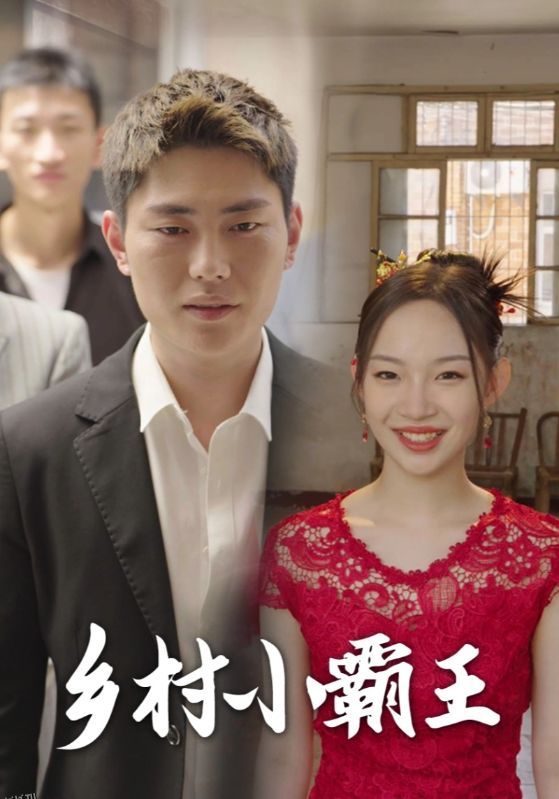 乡村小霸王 海报