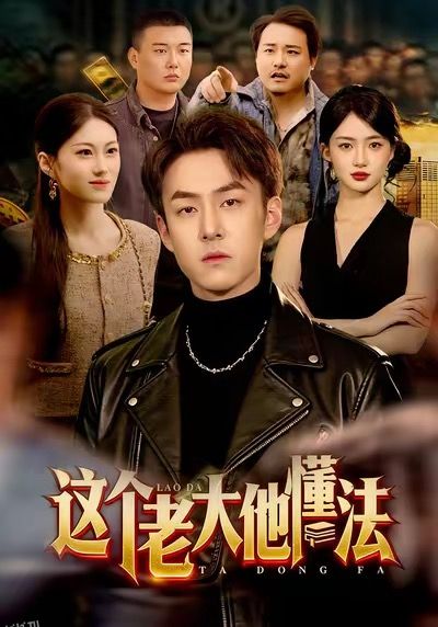 这个老大他懂法 海报
