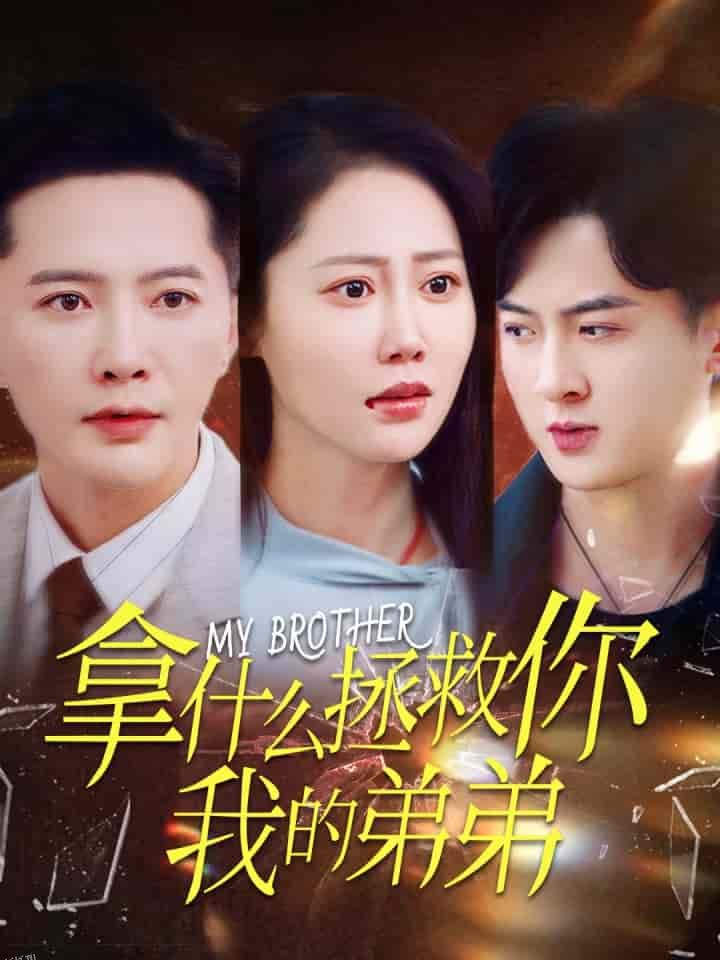 拿什么拯救你我的弟弟 海报