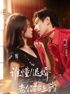 谁懂！退婚老公黏上我 海报