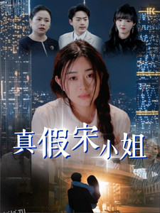 真假宋小姐 海报