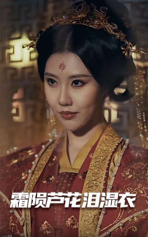 霜陨芦花泪湿衣 海报