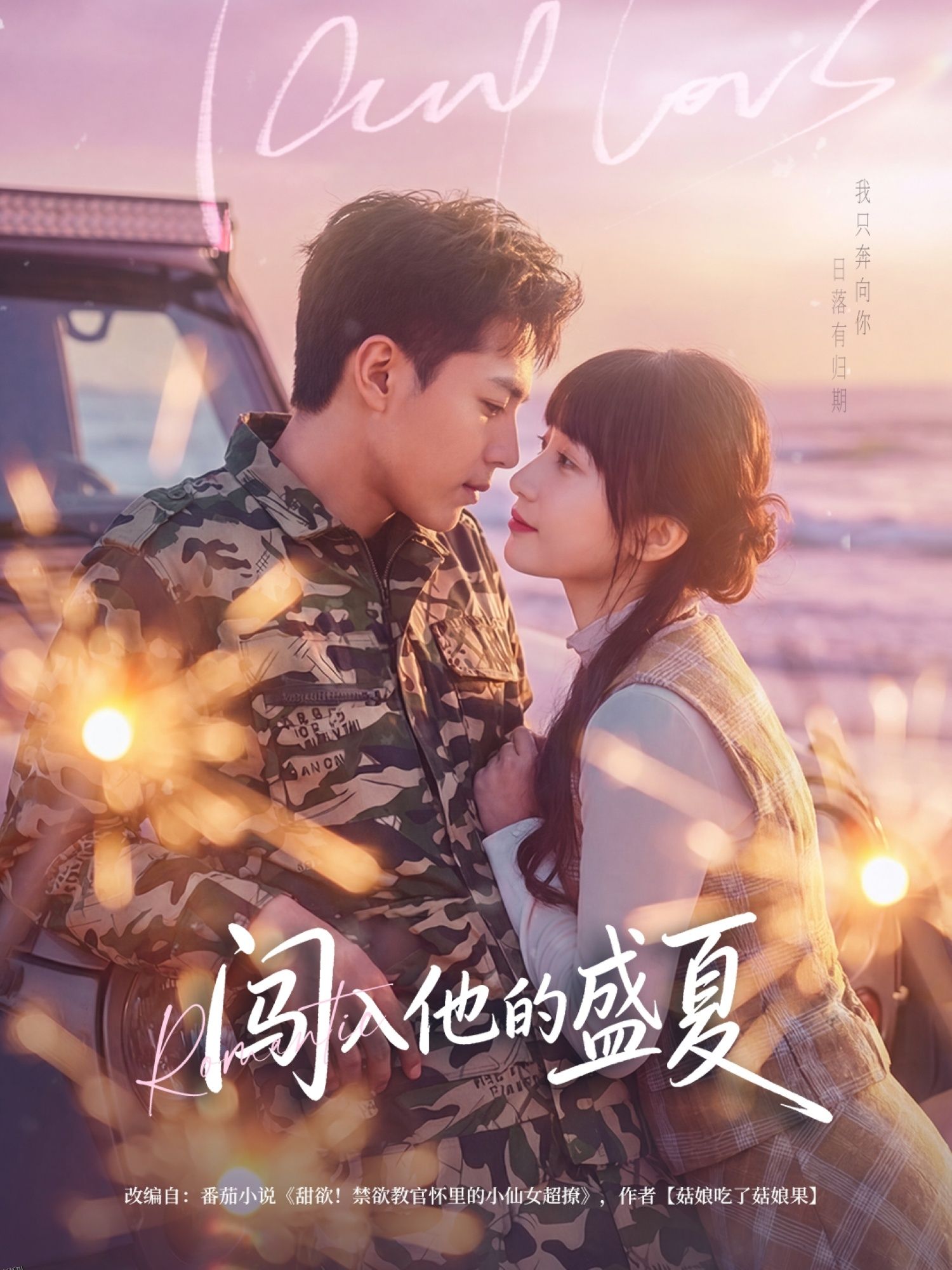 闯入他的盛夏 海报