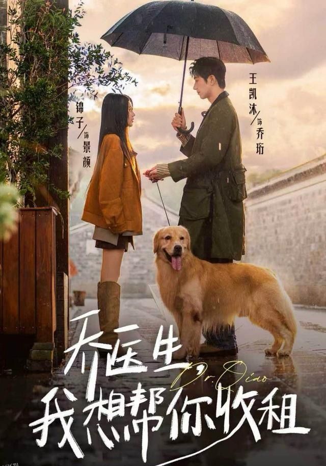 乔医生，我想帮你收租 海报