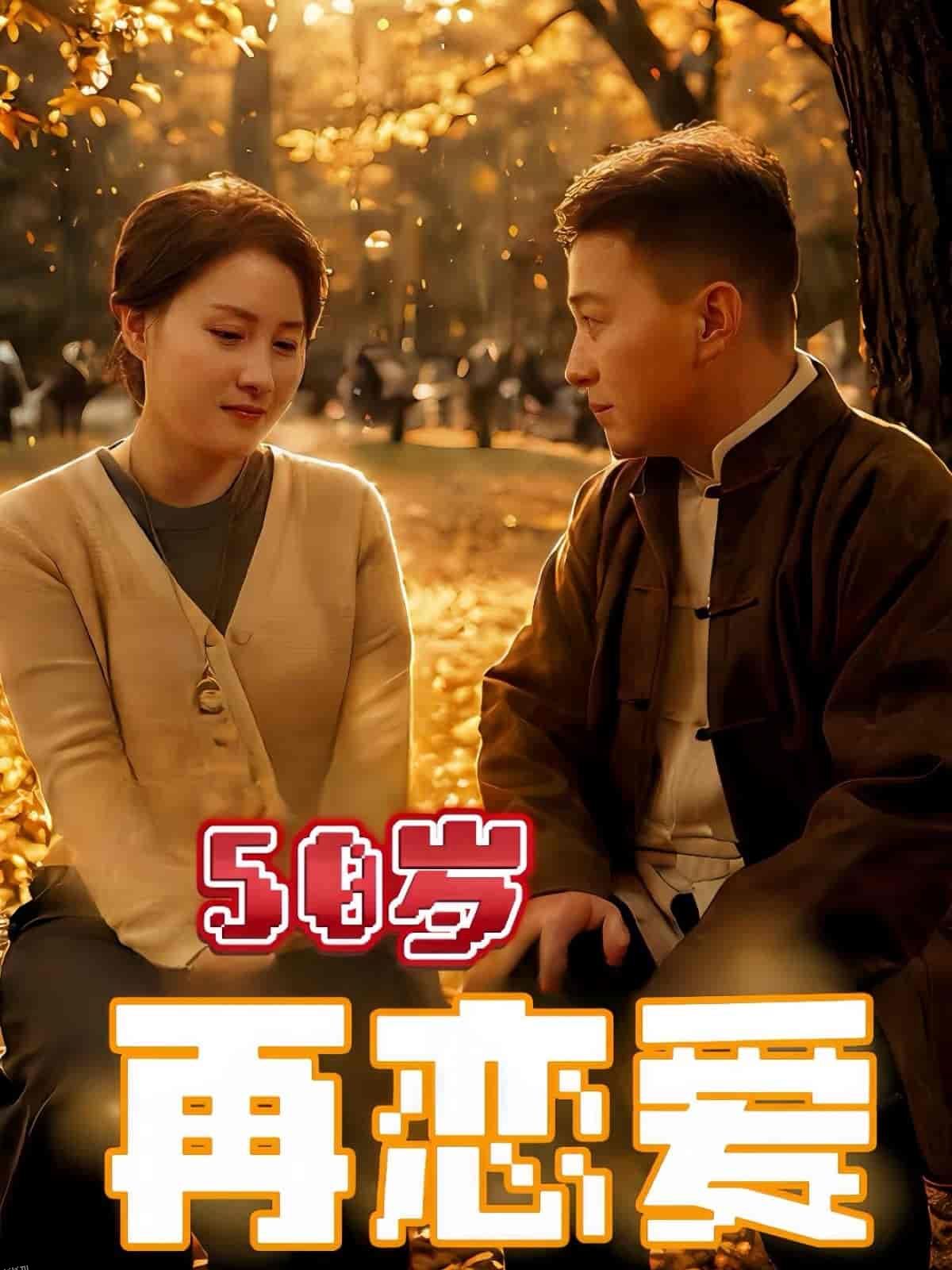 50岁再恋爱 海报