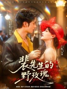 裴先生的野玫瑰 海报