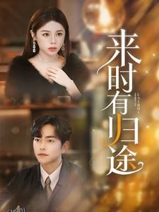 来时有归途 海报