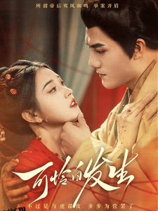 可怜白发生 海报