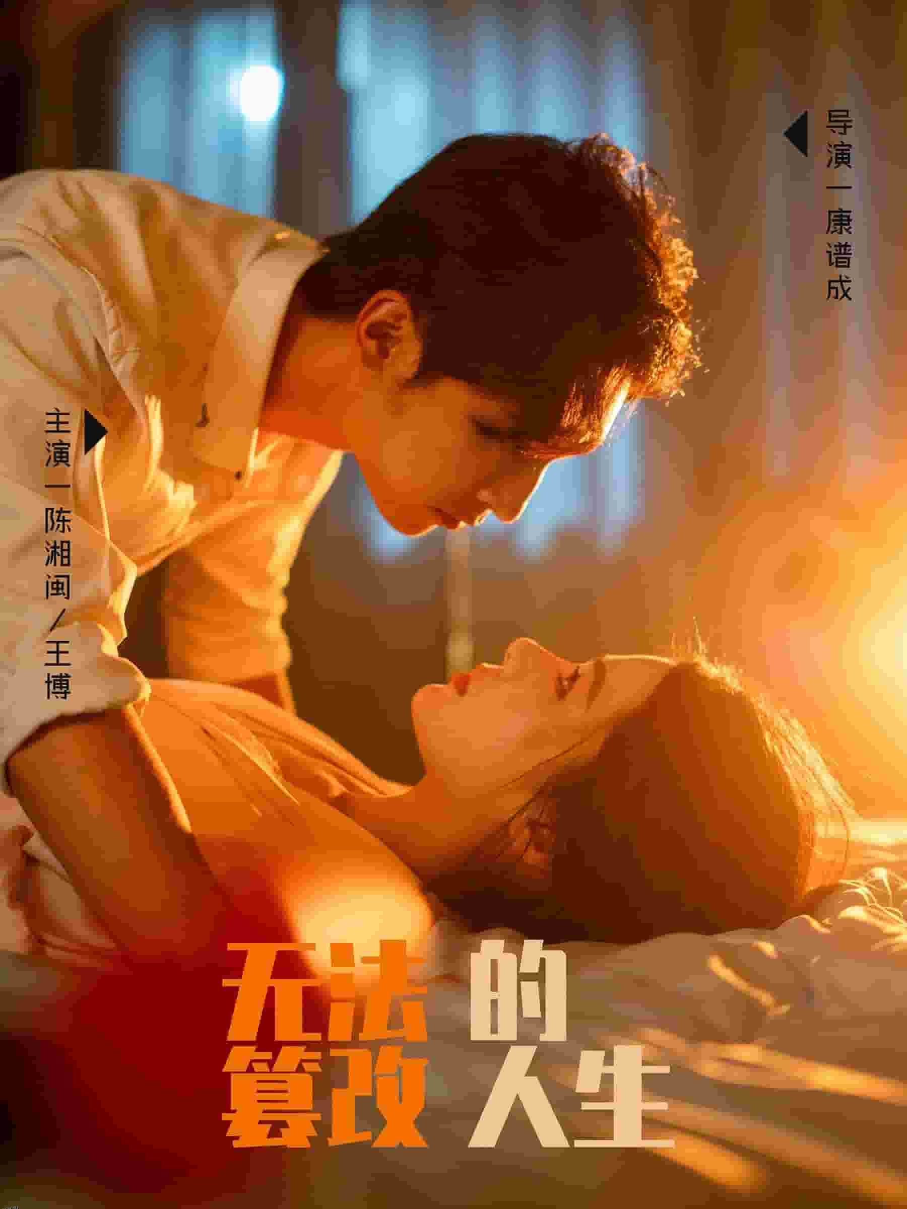 无法篡改的人生 海报