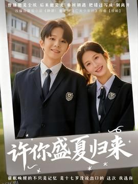 许你盛夏归来 海报