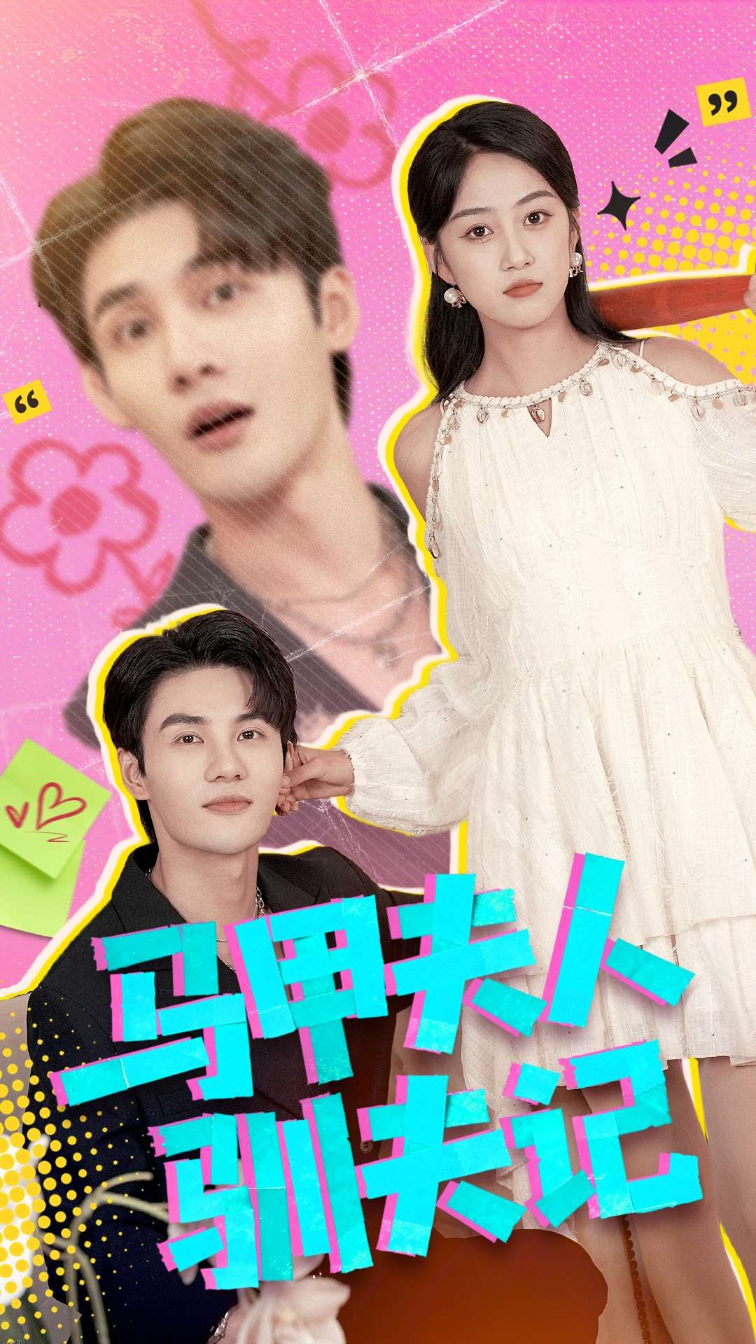 马甲夫人驯夫记 海报