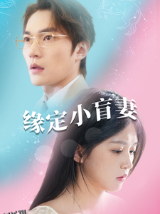 缘定小盲妻 高清海报