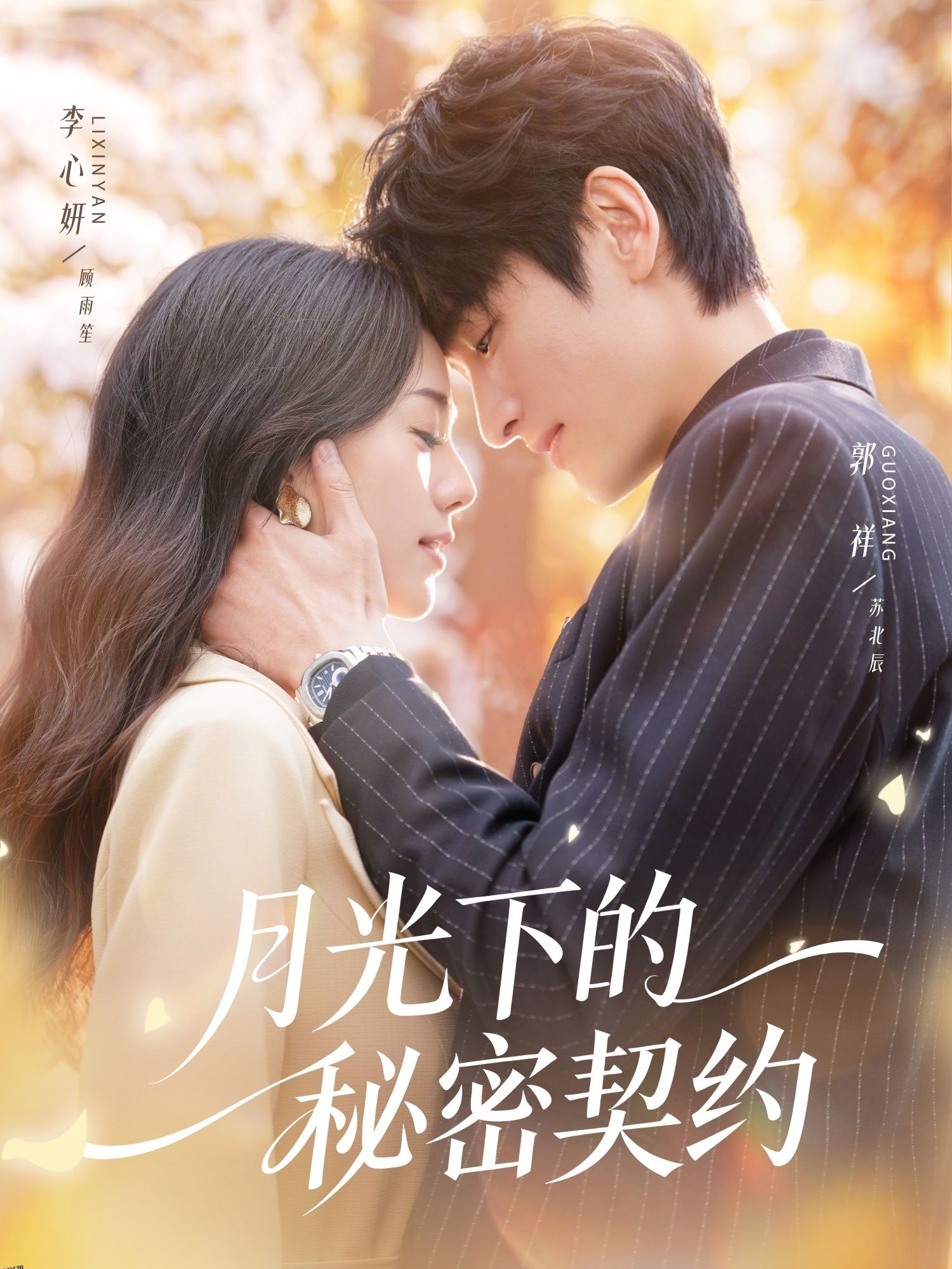月光下的秘密契约 海报
