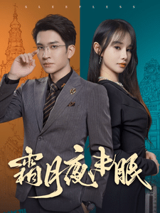 霜月夜未眠 海报