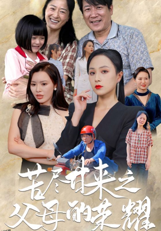 苦尽甘来之父母的荣耀 海报