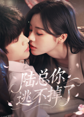 陆总你逃不掉了＆爱意难逃 海报