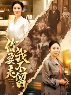 你要走我不留 海报