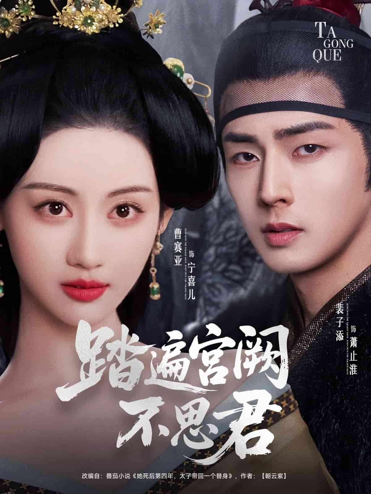 踏遍宫阙不思君 海报