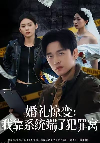 婚礼惊变：我靠系统端了犯罪窝 海报