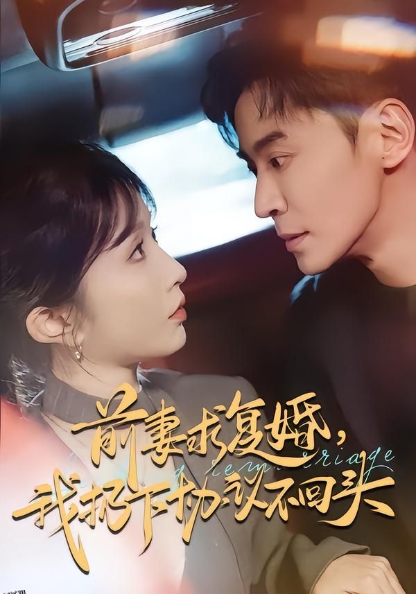 前妻求复婚，我扔下协议不回头 海报