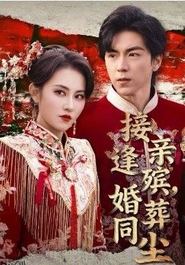 接亲逢殡，婚葬同尘 海报