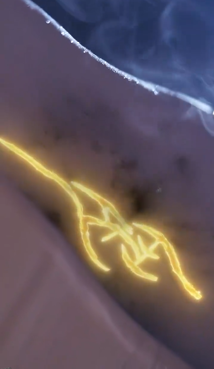 缘来仙妻就是你 海报