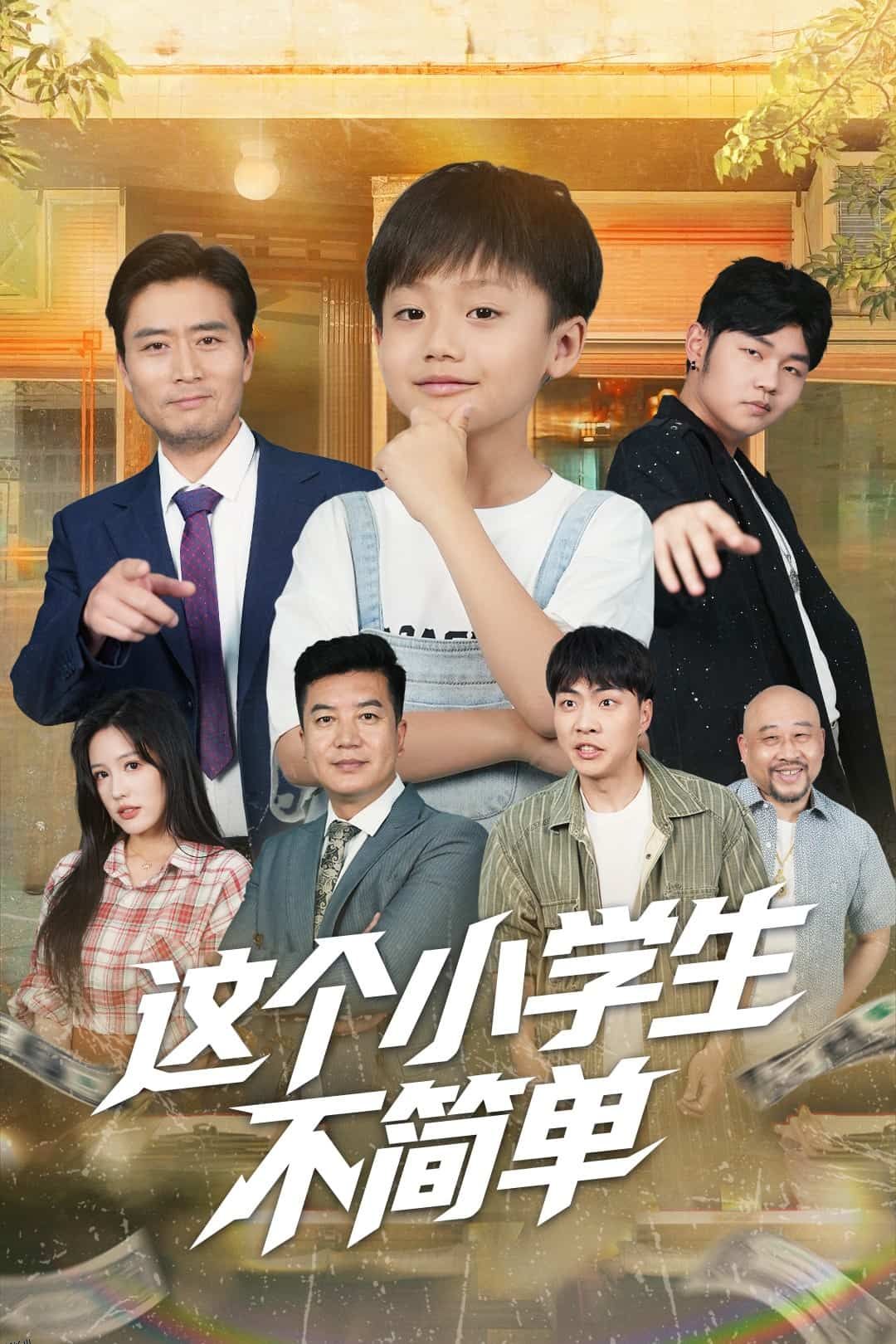 这个小学生不简单 海报