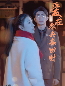 爱在冬去春回时 高清海报