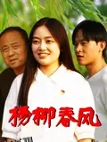 杨柳春风 海报