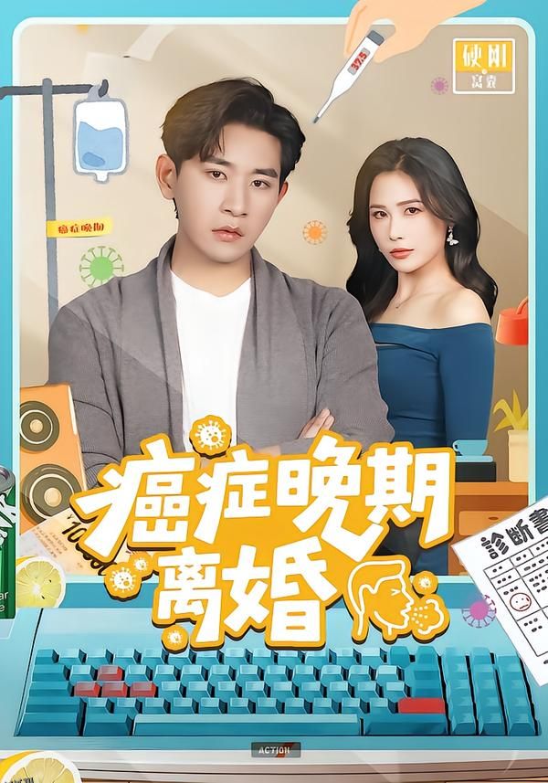 癌症晚期离婚 海报