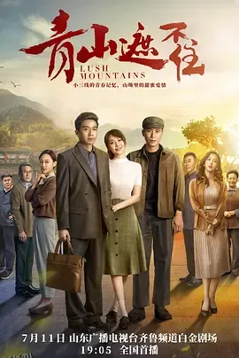 青山遮不住 海报