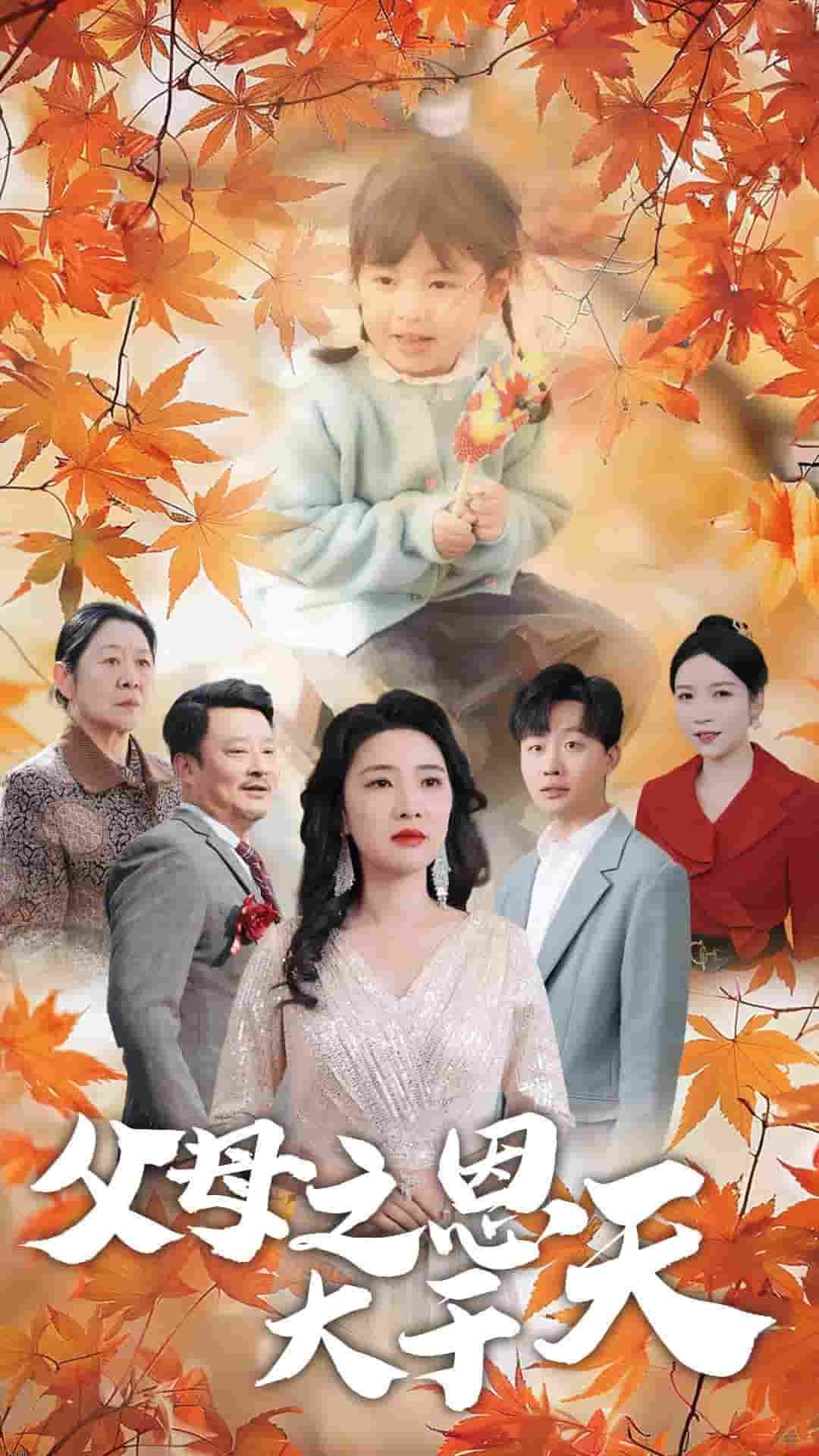 父母之恩大于天 海报