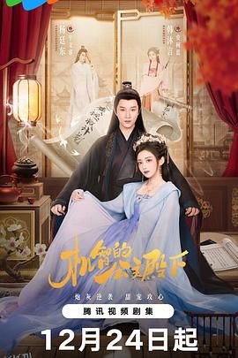 机智的公主殿下 海报