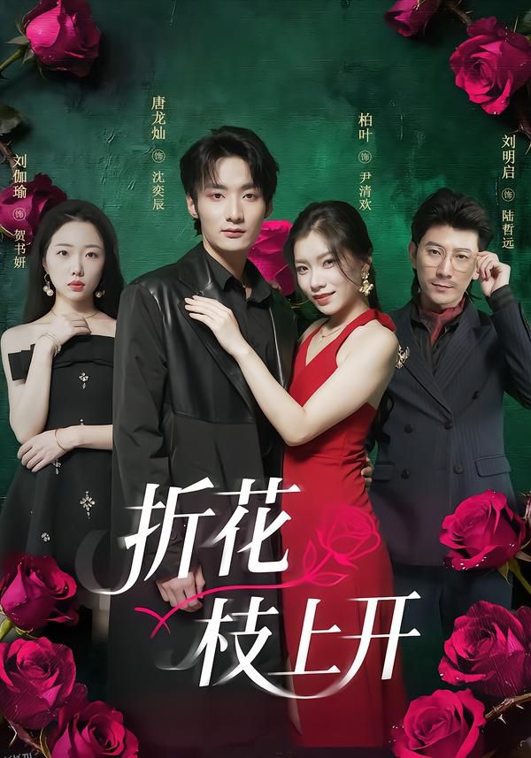 折花枝上开 海报